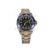 Rolex — RX025 — 1464703